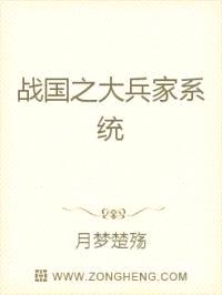 战国之大兵家系统
