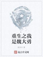 抗战之我是魏大勇