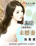 总裁:请别调戏未婚妻