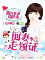 高冷老婆领回家:前妻,走领证