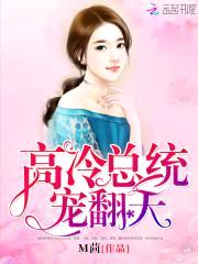 强宠108夜:总统,请节制